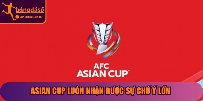 Asian Cup luôn nhận được sự chú ý lớn từ cộng đồng người hâm mộ bóng đá