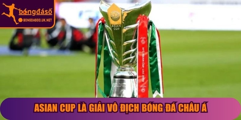 Asian Cup là giải vô địch bóng đá châu Á do Liên đoàn bóng đá châu Á tổ chức