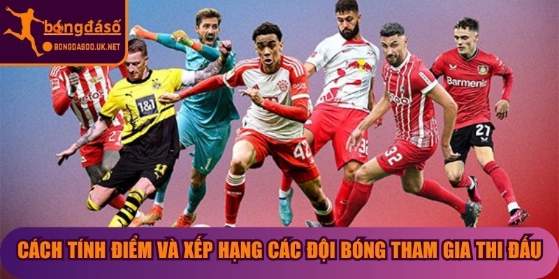 Cách tính điểm và xếp hạng các đội bóng tham gia thi đấu