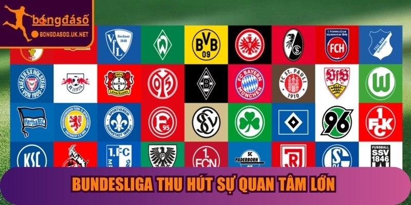 Bundesliga thu hút sự quan tâm lớn từ người hâm mộ quốc tế