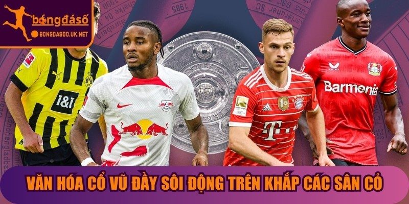 Văn hóa cổ vũ đầy sôi động trên khắp các sân cỏ