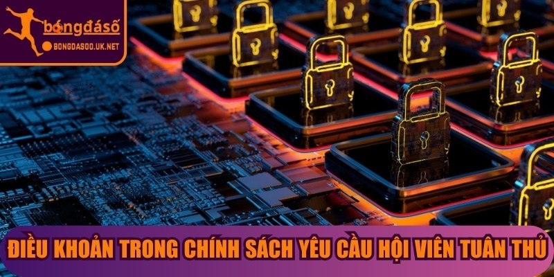 Các điều khoản trong chính sách yêu cầu hội viên tuân thủ