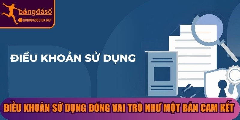 Điều khoản sử dụng đóng vai trò như một bản cam kết chuẩn