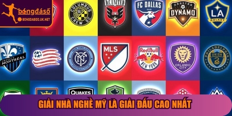 Giải nhà nghề Mỹ là giải đấu cao nhất của hệ thống bóng đá chuyên nghiệp Mỹ
