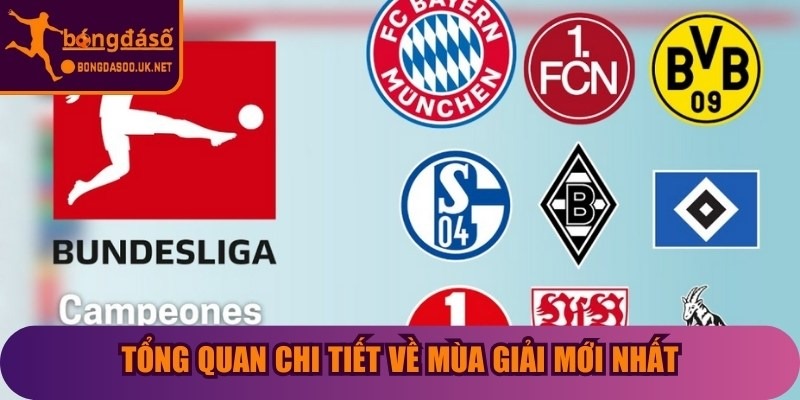 Tổng quan chi tiết về mùa giải mới nhất