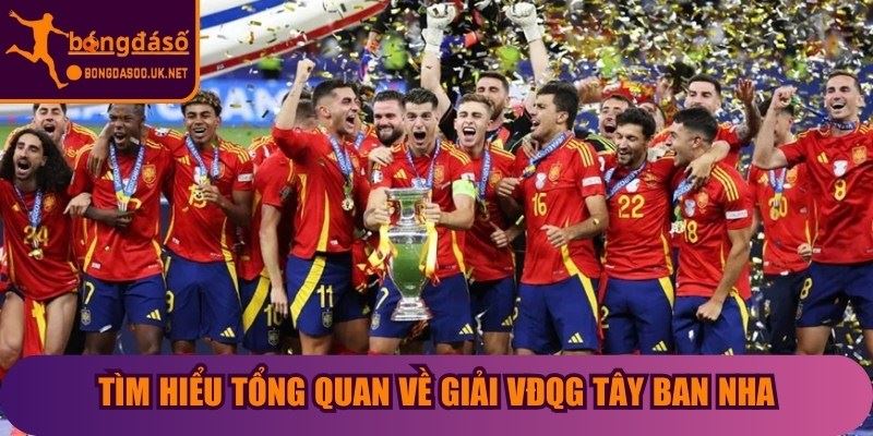 Tìm hiểu tổng quan về giải VĐQG Tây Ban Nha