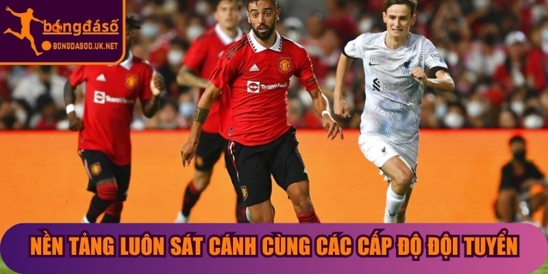 Nền tảng luôn sát cánh cùng các cấp độ đội tuyển Việt Nam