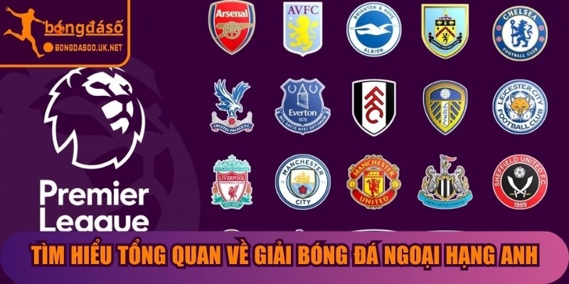 Tìm hiểu tổng quan về giải bóng đá ngoại hạng Anh