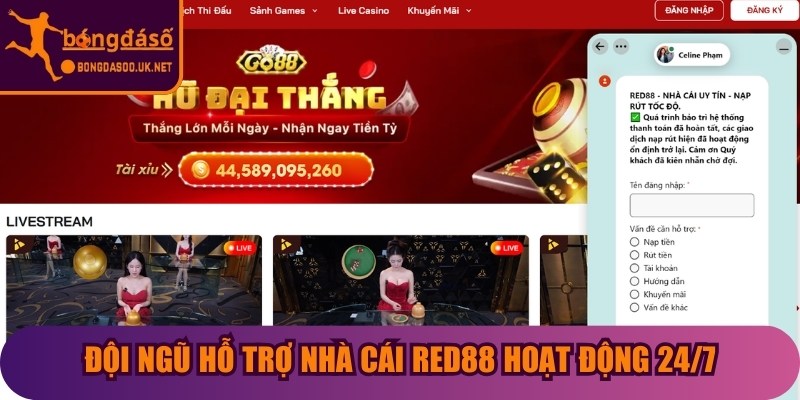 Đội ngũ hỗ trợ nhà cái Red88 hoạt động 24/7, sẵn sàng giải đáp mọi thắc mắc