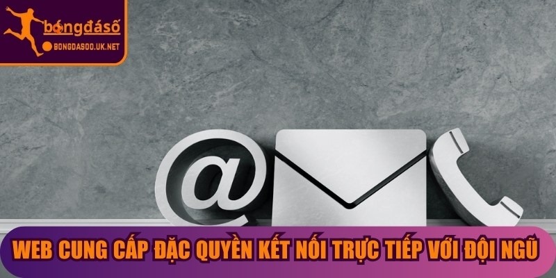 Web cung cấp đặc quyền kết nối trực tiếp với đội ngũ tận tâm