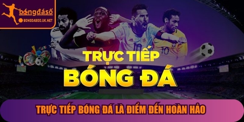 Trực tiếp bóng đá là điểm đến hoàn hảo cho cộng đồng đam mê