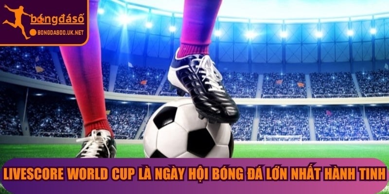 LiveScore World Cup là ngày hội bóng đá lớn nhất hành tinh